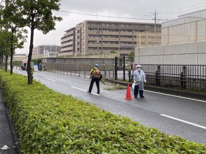 2021年6月　横浜市港北区新羽町　樹木剪定に伴う交通誘導警備業務