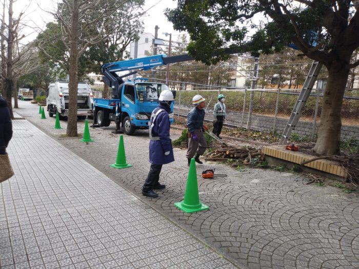 2022年2月　横浜市泉区　樹木剪定に伴う交通誘導警備業務