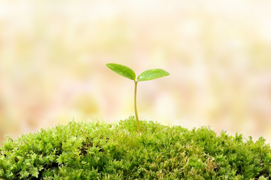 【神奈川で輝く】未経験者応援！誠総合企画の交通誘導求人情報